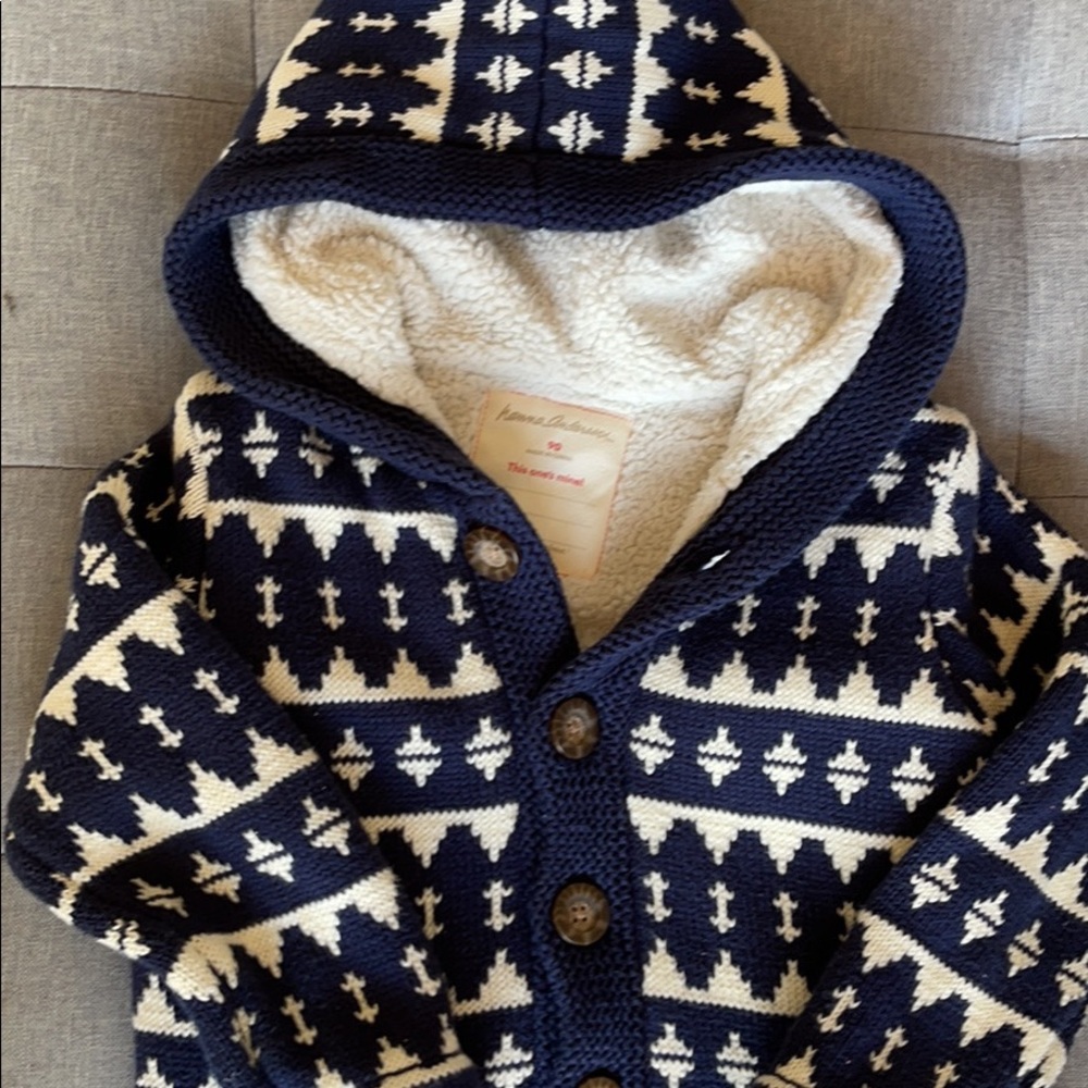 Hanna Andersson winter coat